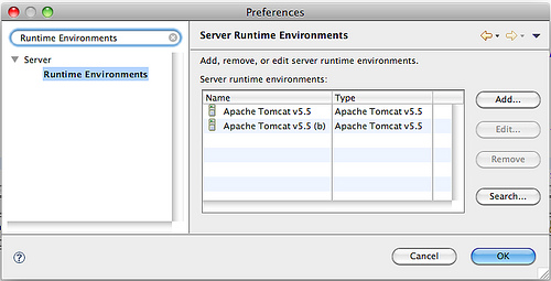Server Runtime Environments