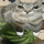 01PiXeL0