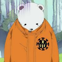 0x-bear