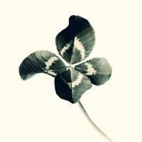 0xRandluck