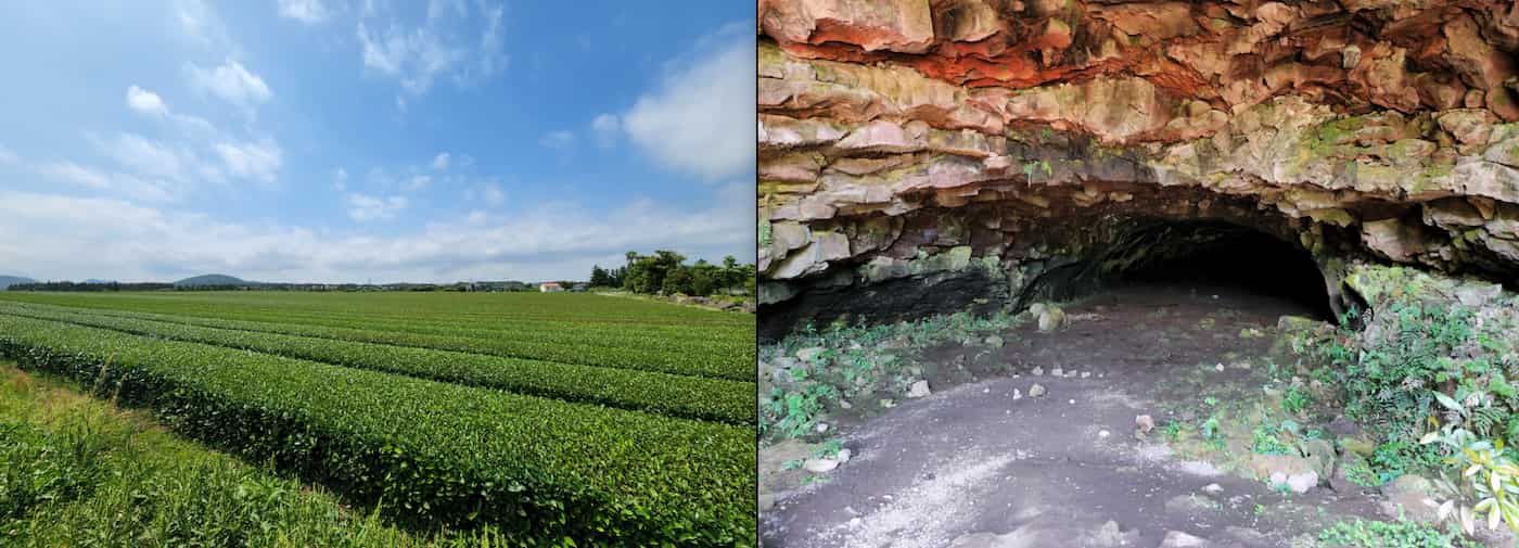 green-tea-cave