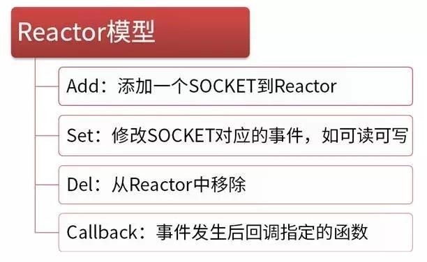 Reactor模型.jpg