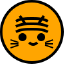 9tigerio