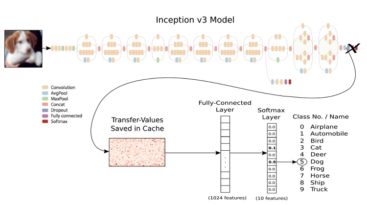Transfer-Learning.jpg