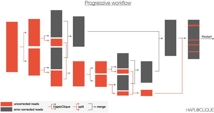 haploclique_workflow.png