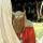 ARST113