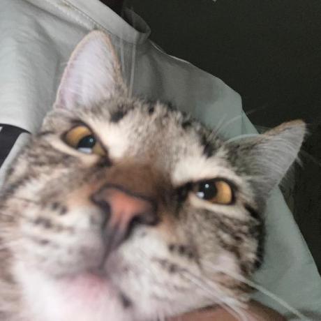 Маметжан Абзал