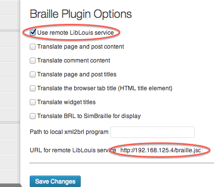 marked-braille-plugin.png