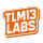 AccurateTLM13