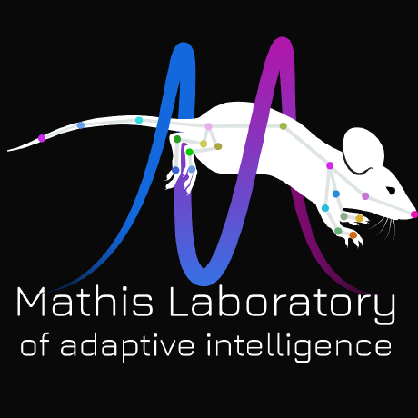 AdaptiveMotorControlLab