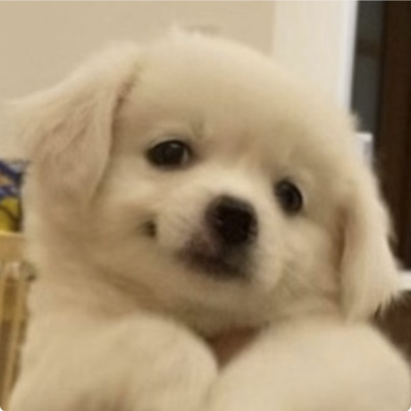 NextChat - 轻量级AI助手