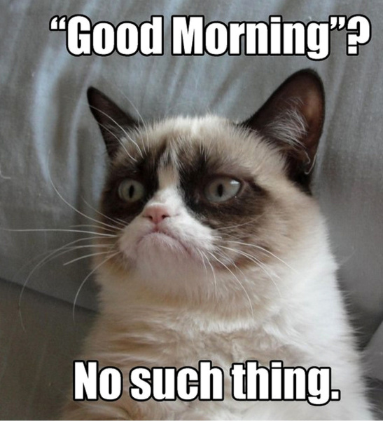 grumpy-cat-meme-hmmm.jpg