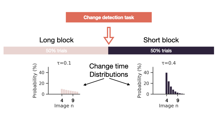 Change_detection_task_structure.png