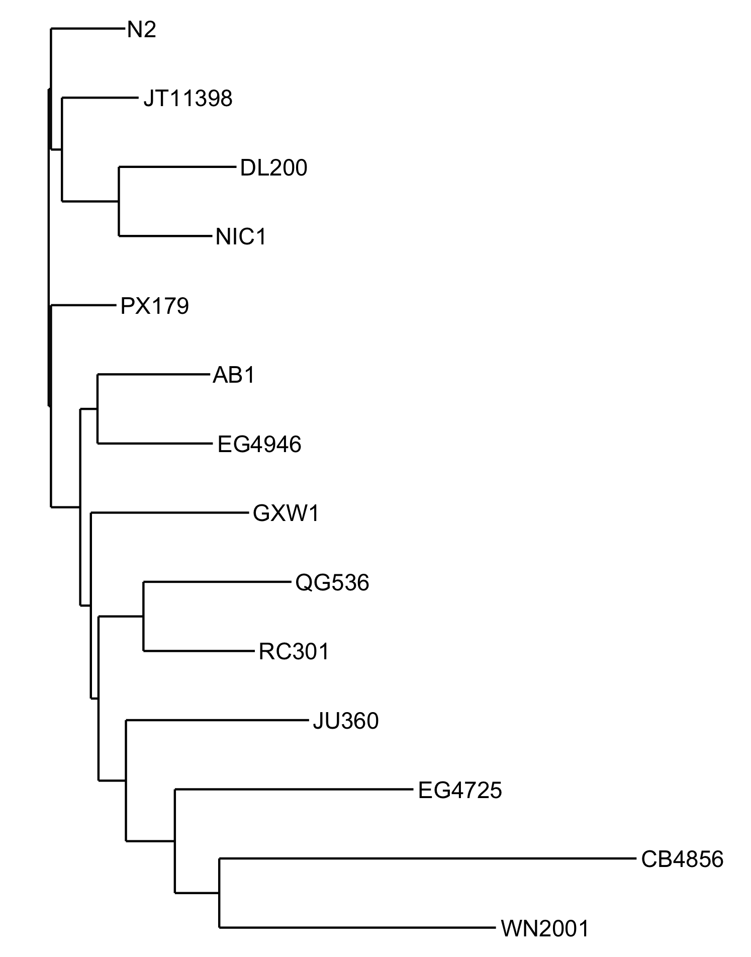 phylogeny example in R