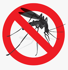 mosquito.png