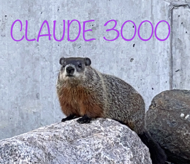 TeamClaud3000.png