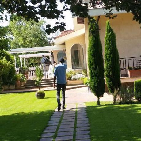 AnthonyFrancis avatar