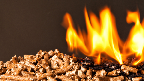 Biomass Boilers Explained