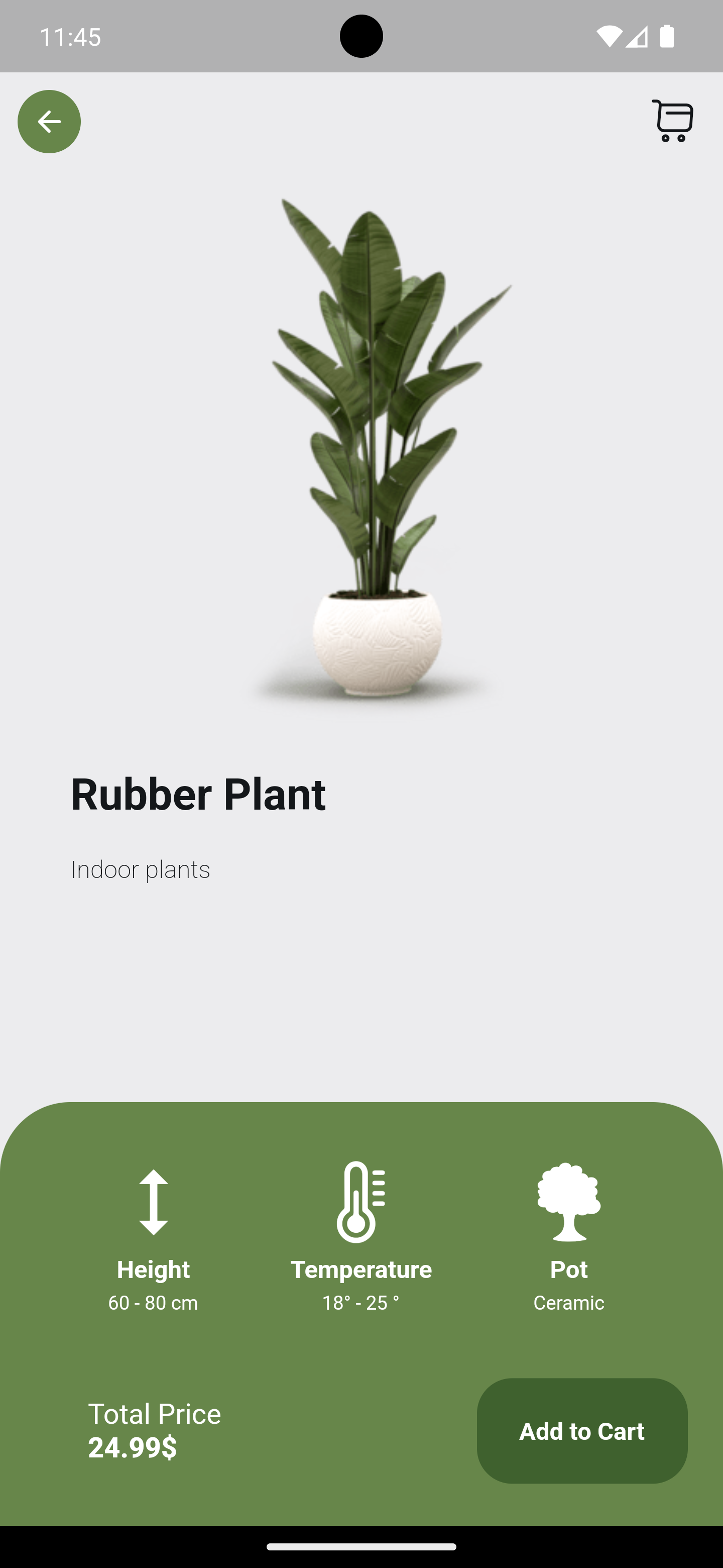 plant.png