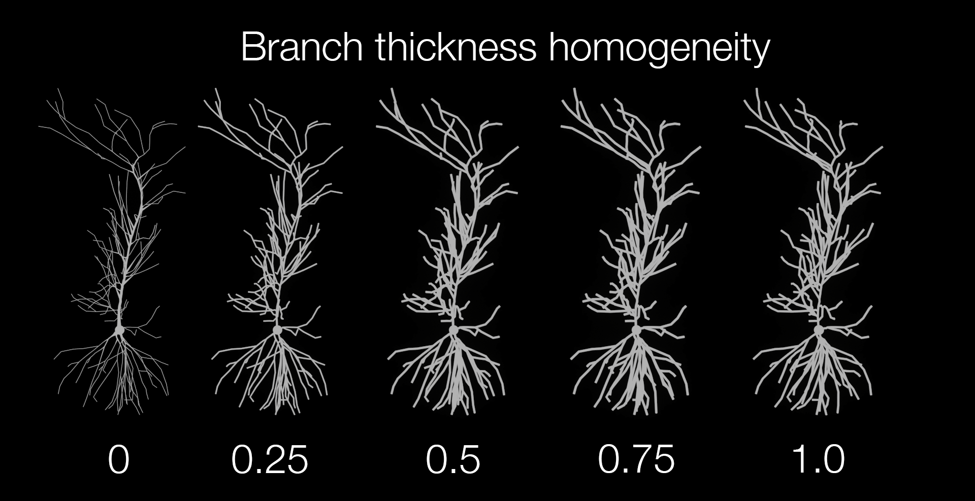 Customization – homogeneity.png