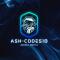 Ash-codes18