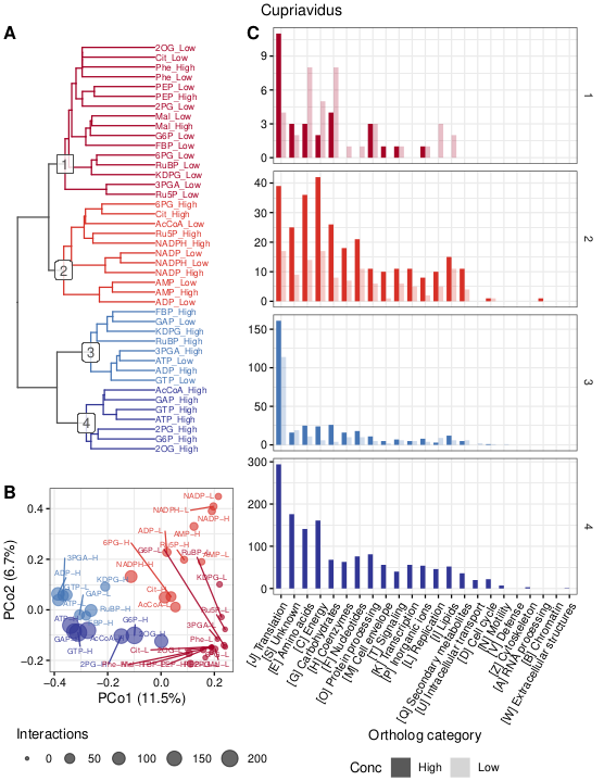 ortholog_clustering.Cupriavidus_by_Metabolite.png