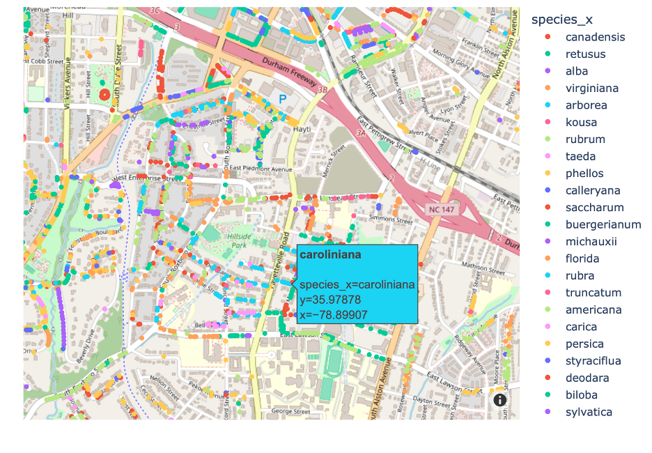 Dataset Preview