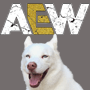 RR-aew.png