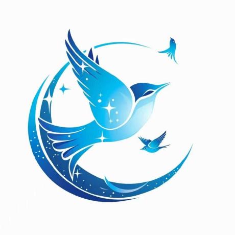 BInodes-official