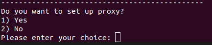 proxy.png