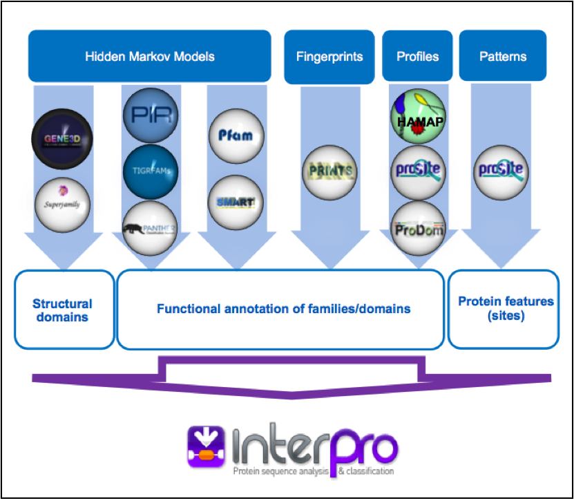 InterPro member databases grouped by the methods, indicated in white
coloured text, used to construct their signatures. Their focus of
interest is shown in blue
text.