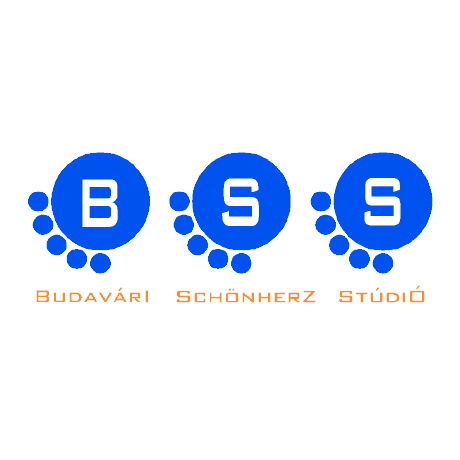 BSStudio