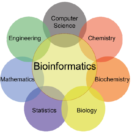 gravatar for Bioinformatics-IBB