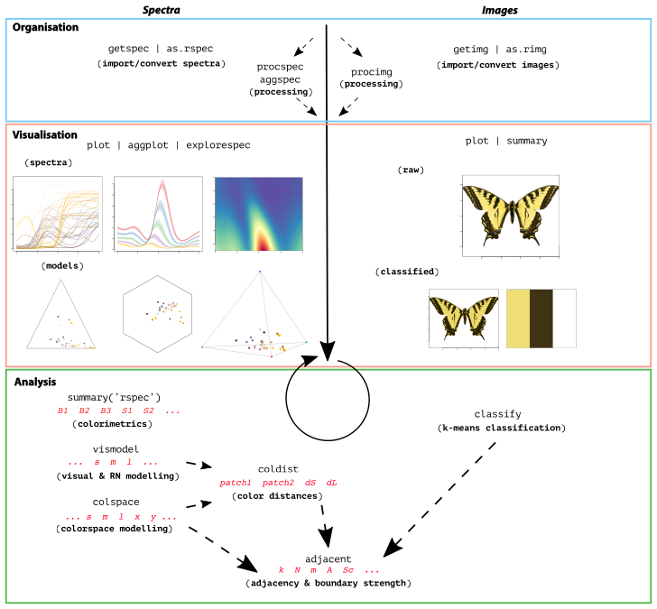 A non-exhaustive overview of the colour-pattern analysis workflow in pavo, as of version 2.0, displaying some key functions at each stage.