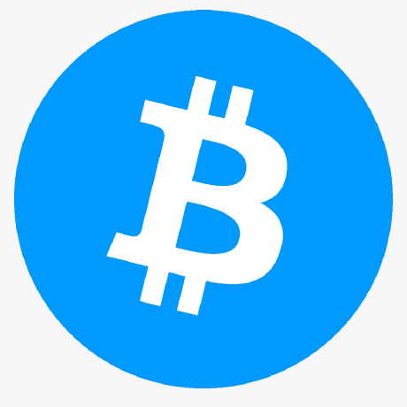 gravatar for BitcoinCopy