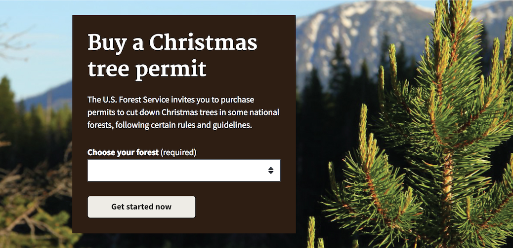 Buy a christmas tree permit photo