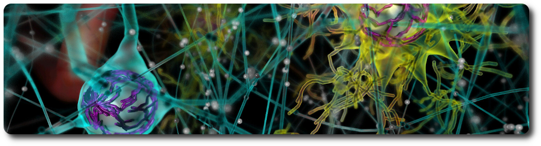 bioexplorer_neurons_banner.png