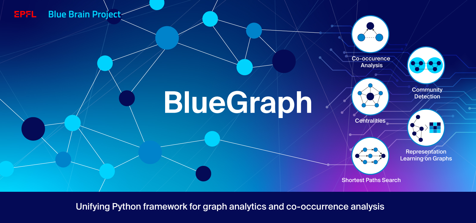 BBP_Blue_Graph_banner.jpg