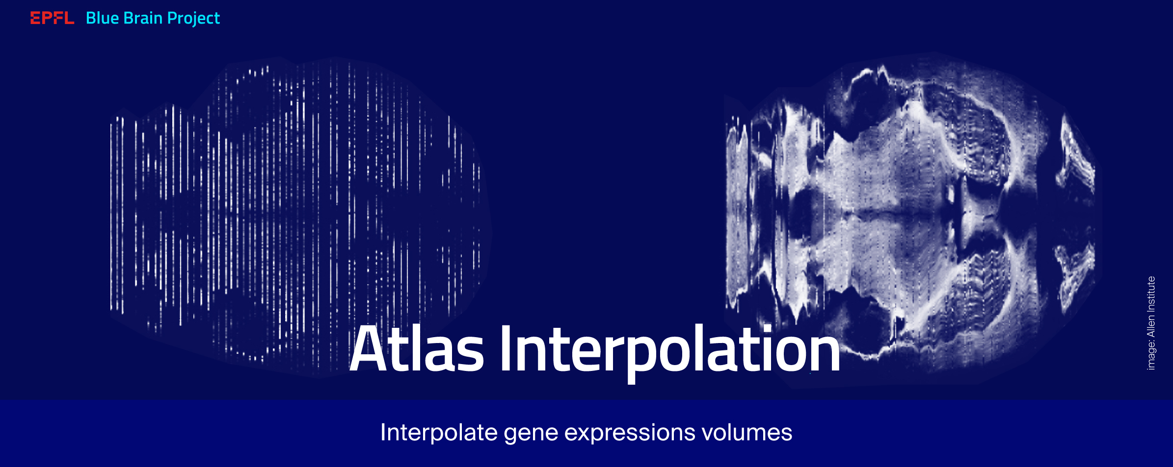 Atlas-Interpolation.jpg