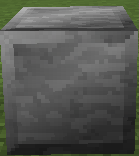 Block Placed In The World