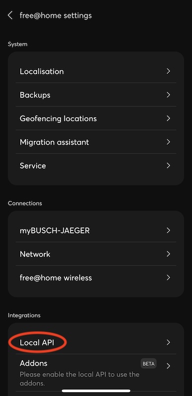 Screenshot of the Local API option in the app