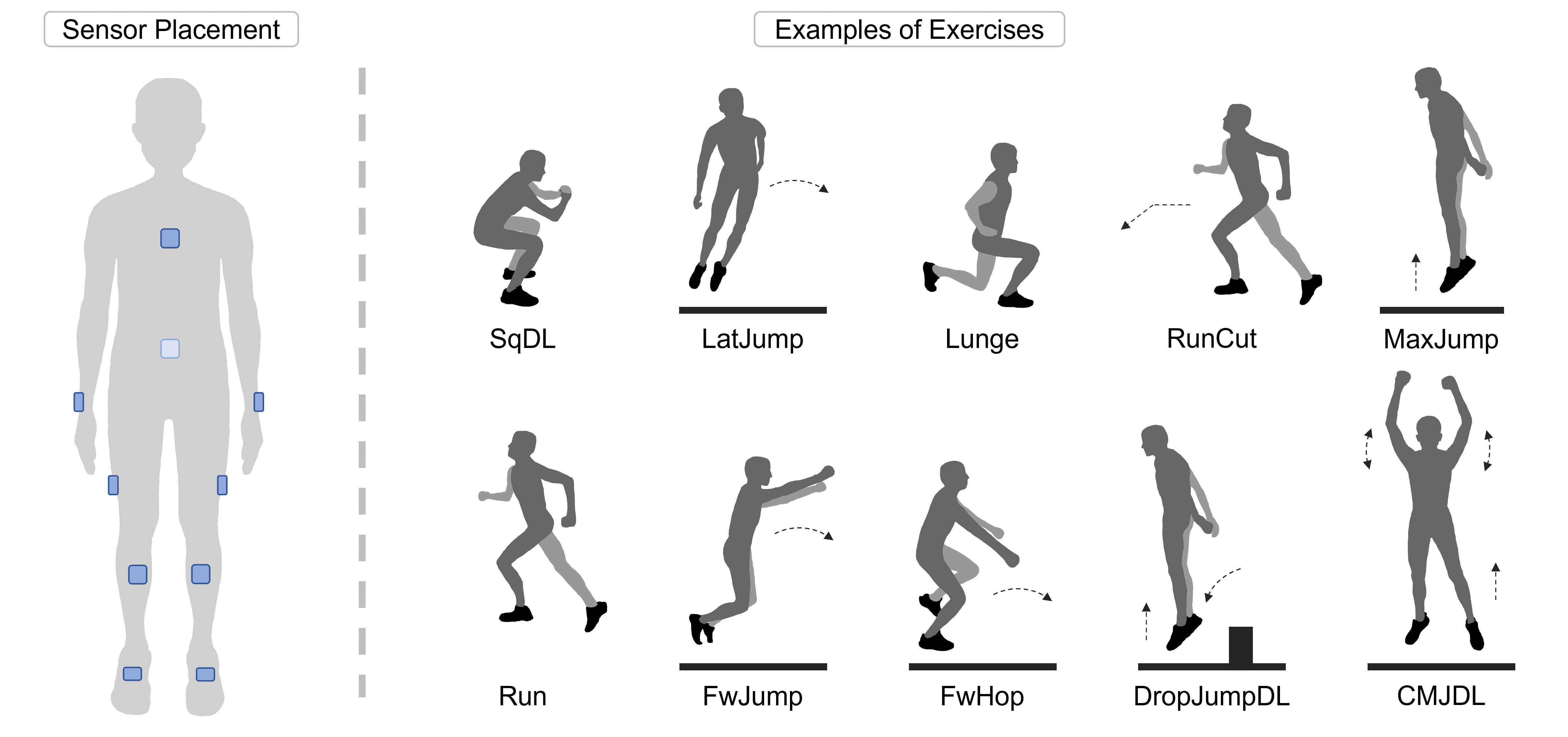 exercise.png