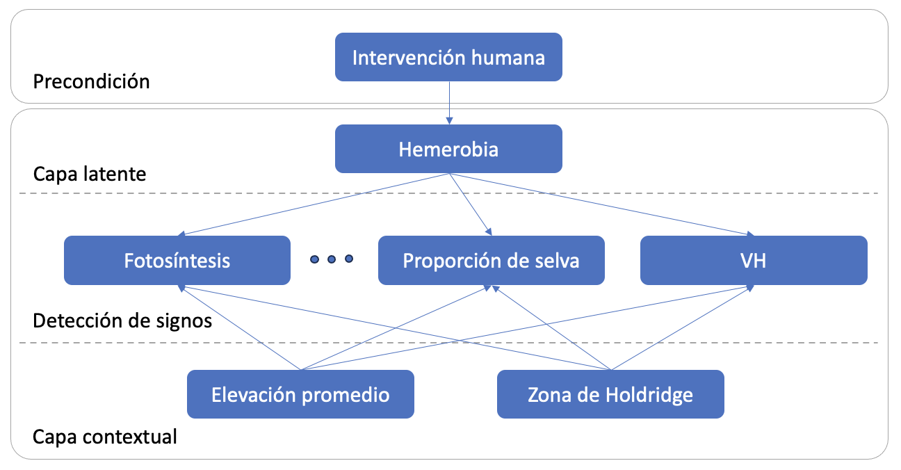 red_resumida_espanol.png