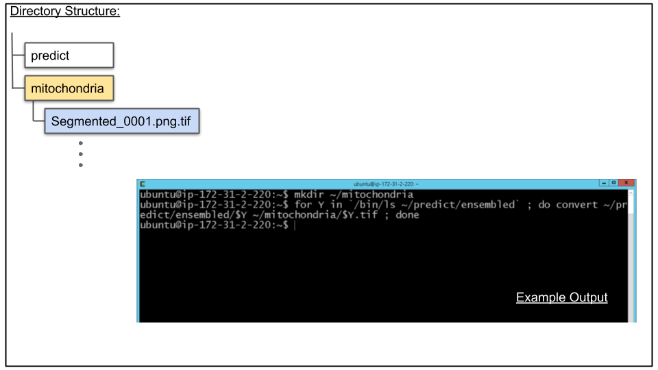 Screenshot in terminal showing above convert command