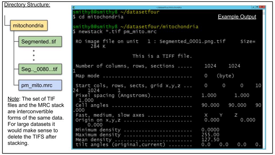 Terminal conversion of tif files via newstack