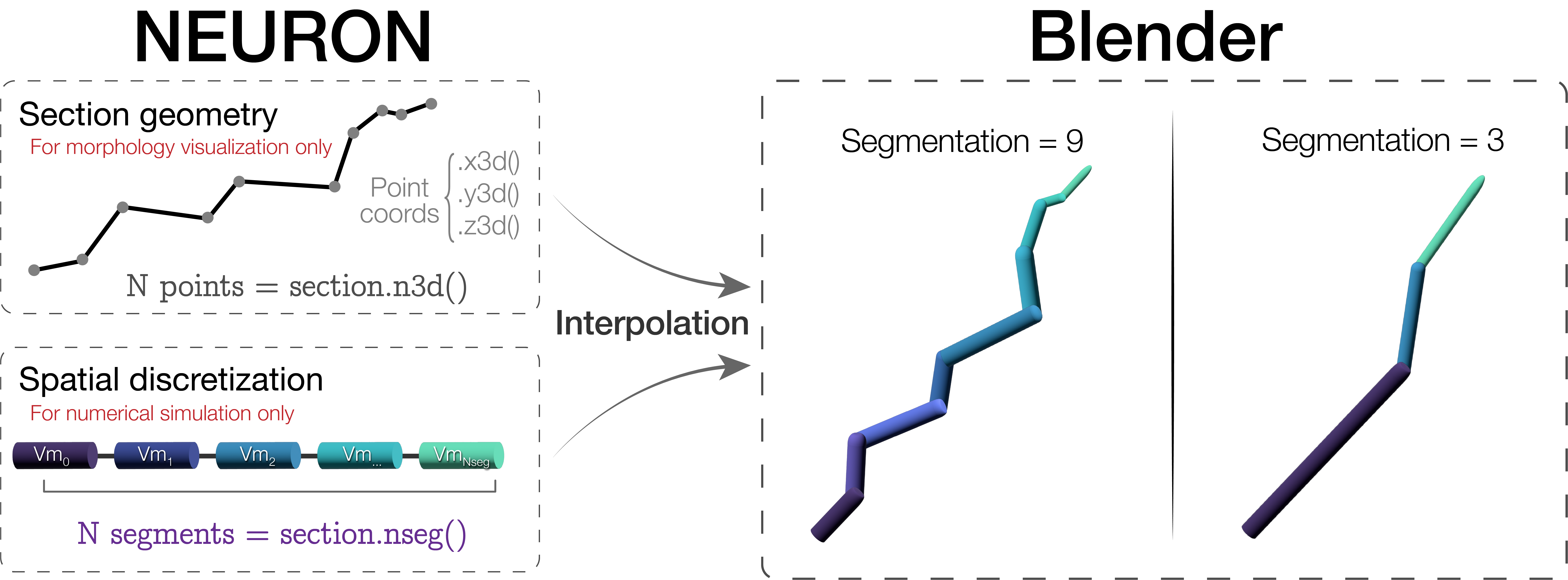 Segmentation diagram.png