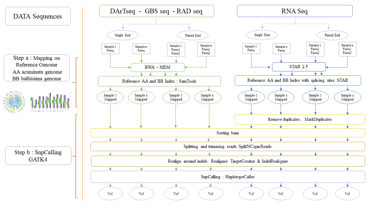 Workflow_Step1.png