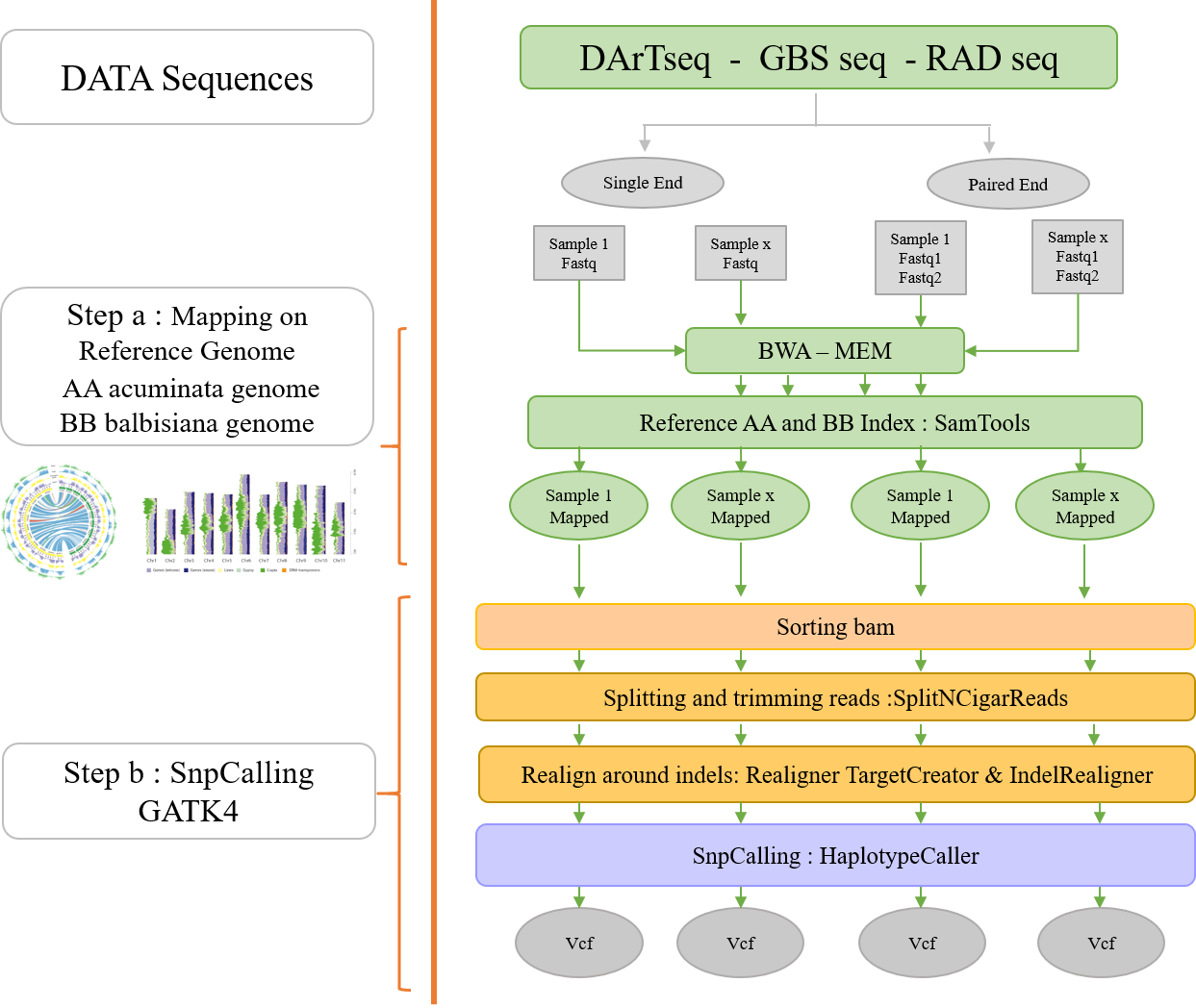 Genomic_Workflow.png