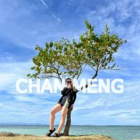 chanmeng/google-news-mcp-server logo
