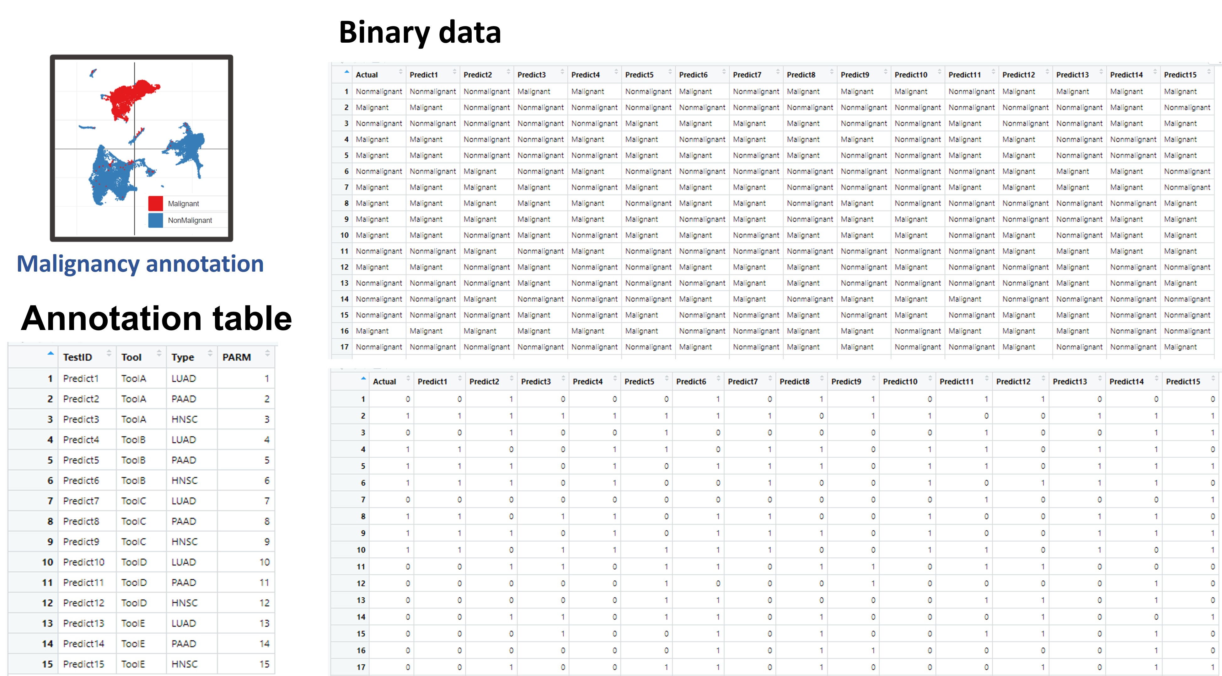 Binary_data_Input.jpg